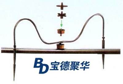 滴剑