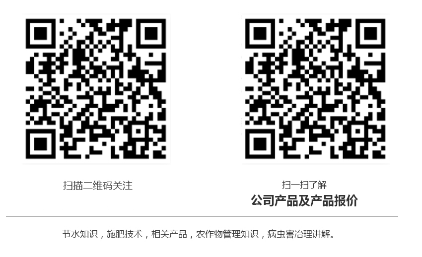 未标题-1.jpg