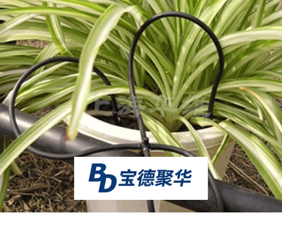 滴箭效果3.jpg