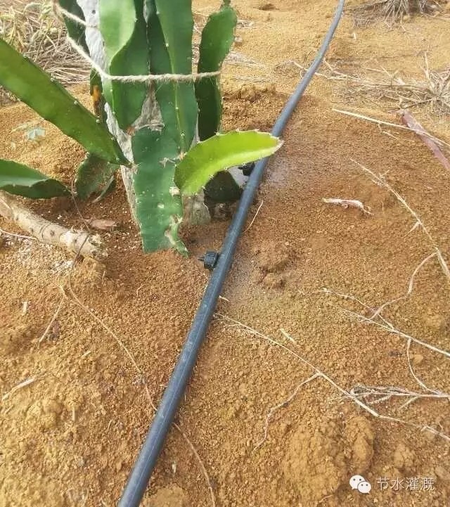 滴灌系统的安装技术