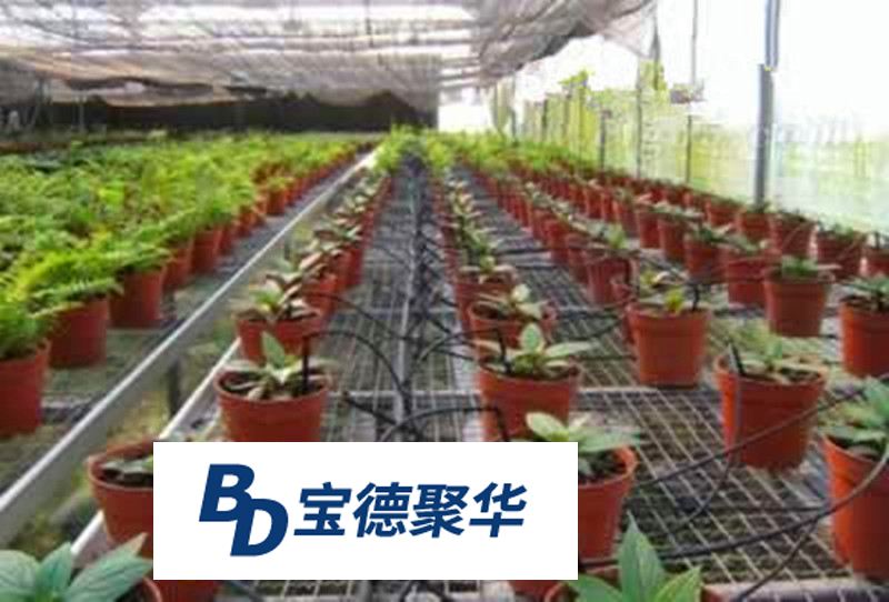 滴箭